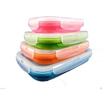 Collapsible Space Saving Rectangular Container 4 Pack