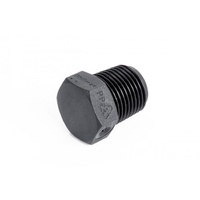 Plastic 1/2in Plug BSPT