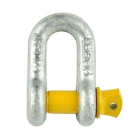 D Shackle - Rated 10mm