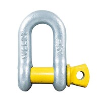 D Shackle - Rated 11mm
