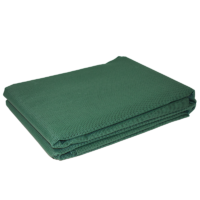 Coast Travelite Multi Purpose Floor Mat Green 250cm x 600cm CW Carry Bag