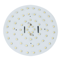 LED 2D Replacement 60 Chip - Single
