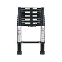 Black Portable Telescopic Ladder 3.2m